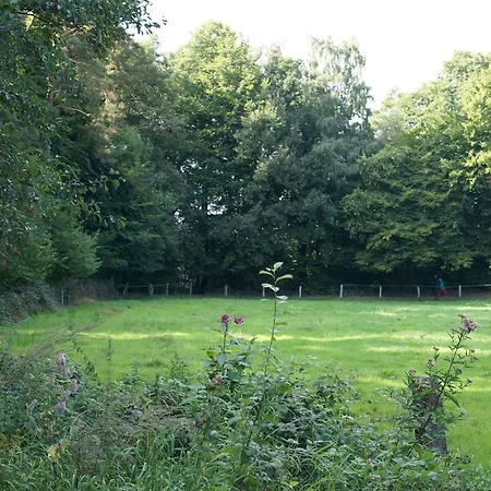 Apartment Am Sundern *