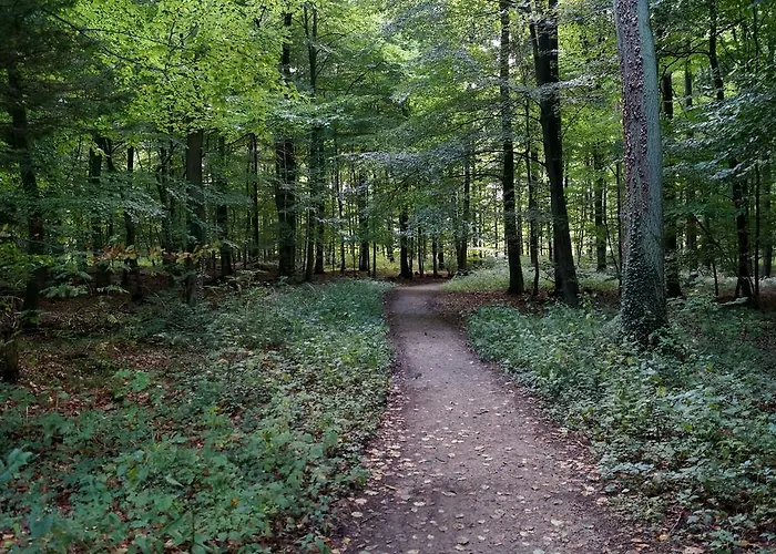 Apartamento Am Sundern *